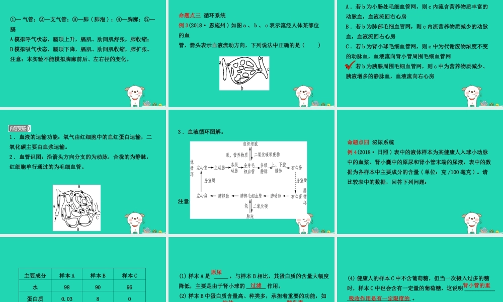 (江西专版)中考生物 第2部分 专题五 人体的代谢复习课件