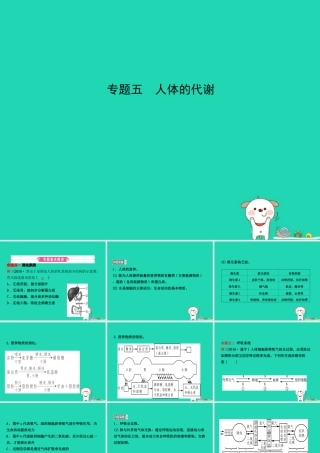 (江西专版)中考生物 第2部分 专题五 人体的代谢复习课件