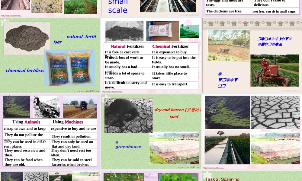 Unit19 Modern Agriculture Period Two Reading 人教版 课件