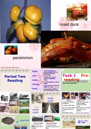 Unit19 Modern Agriculture Period Two Reading 人教版 课件