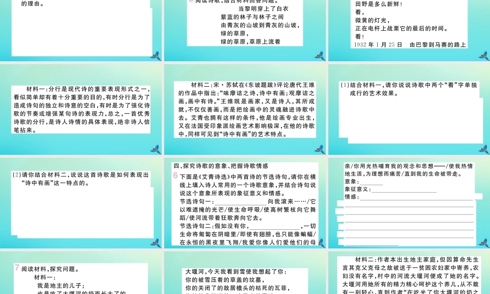 (河南专版)九年级语文上册 第一单元 名著导读(艾青诗选)作业课件 新人教版 课件