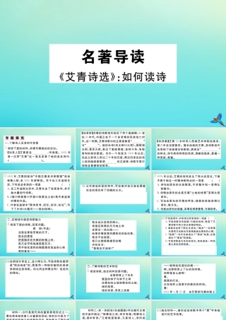 (河南专版)九年级语文上册 第一单元 名著导读(艾青诗选)作业课件 新人教版 课件