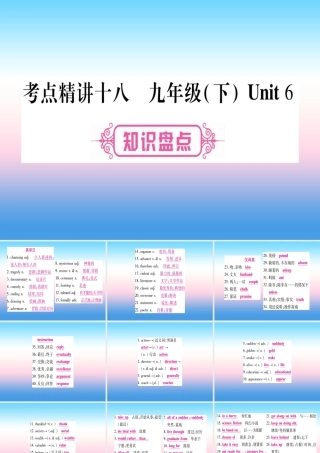 中考英语准点备考 第一部分 教材系统复习 考点精讲十八 九下 Unit 6课件