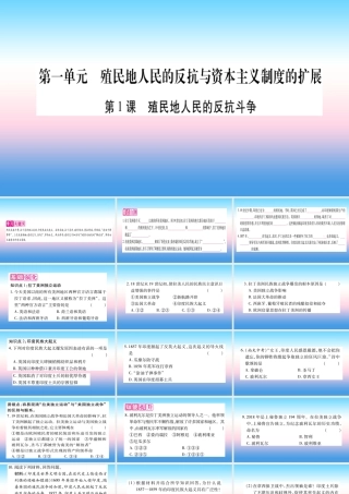 九年级历史下册 第1单元 殖民地人民的反抗与资本主义制度的扩展 第1课 殖民地人民的反抗斗争自学课件 新人教版 课件
