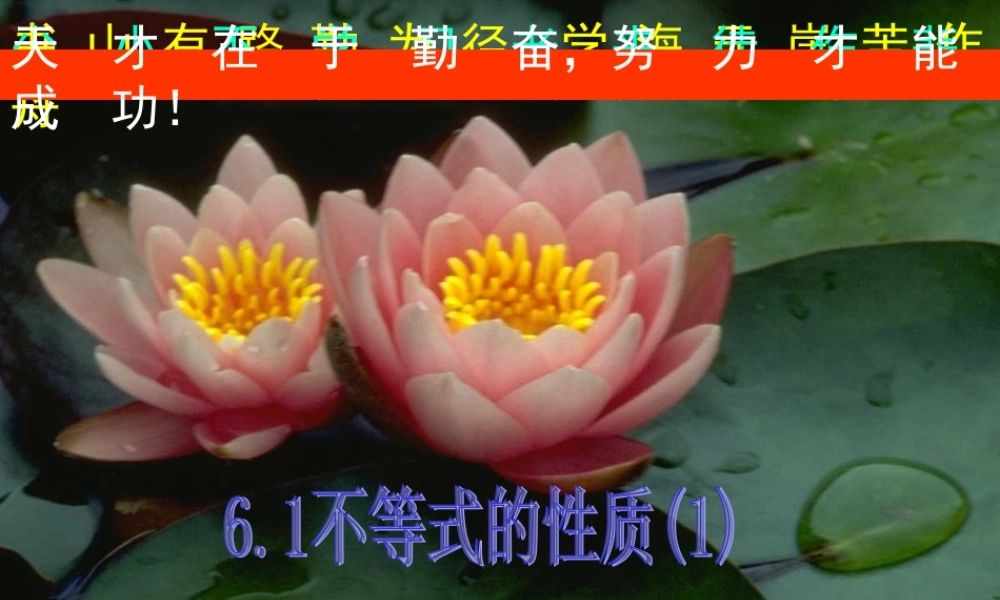 6.1(1) 第六章不等式课件 第六章不等式课件