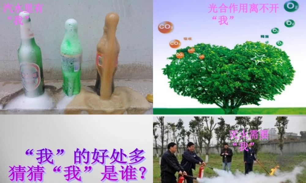 九年级化学上册 第6单元 课题2 二氧化碳制取的研究课件 (新版)新人教版 课件