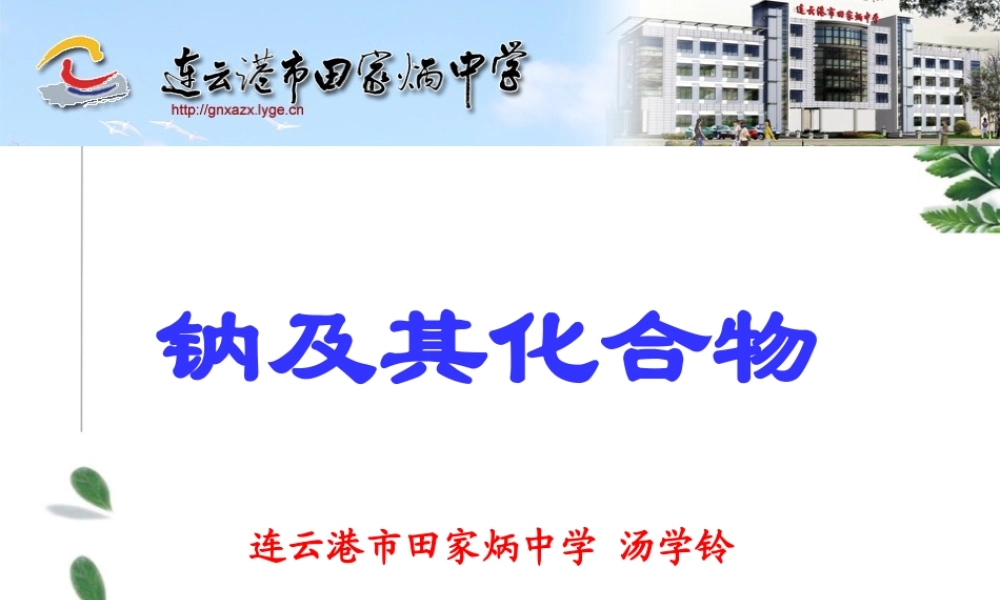 九年级化学(钠及其化合物)课件 人教版 课件
