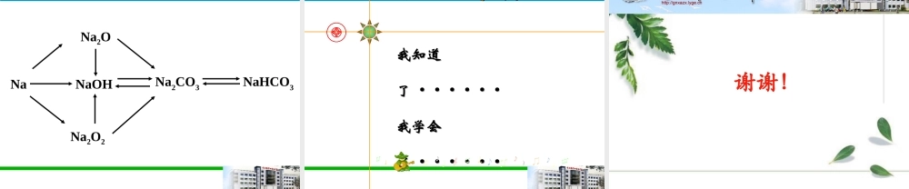 九年级化学(钠及其化合物)课件 人教版 课件