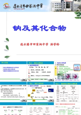 九年级化学(钠及其化合物)课件 人教版 课件