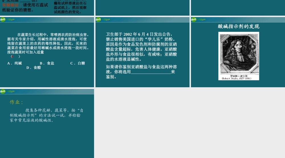 九年级化学 71溶液的酸碱性课件10沪教版 课件
