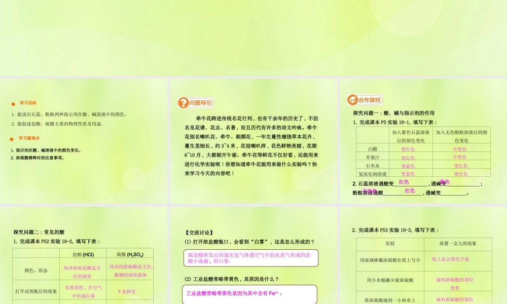 九年级化学下册 第十单元 酸和碱 课题1 常见的酸和碱(第1课时)高效课堂课件 (新版)新人教版 课件