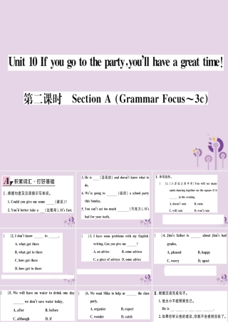 (通用版)八年级英语上册 Unit 10 If you go to the party，you ll have a great time(第2课时)习题课件 (新版)人教新目标版 课件