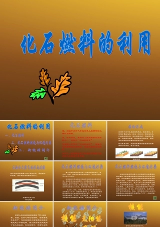 九年级化学上册 化石燃料的利用课件2 沪教版 课件