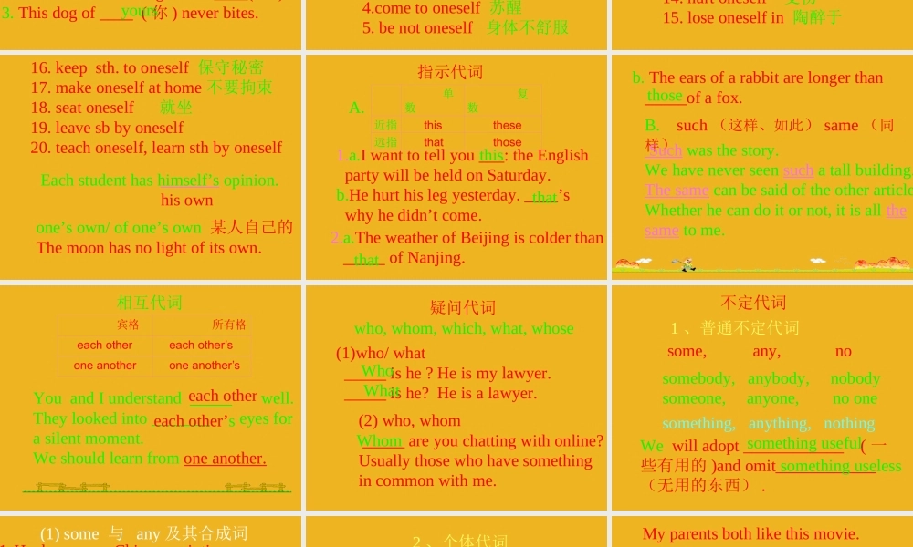 中考英语语法考点专题复习3 代词课件4 课件
