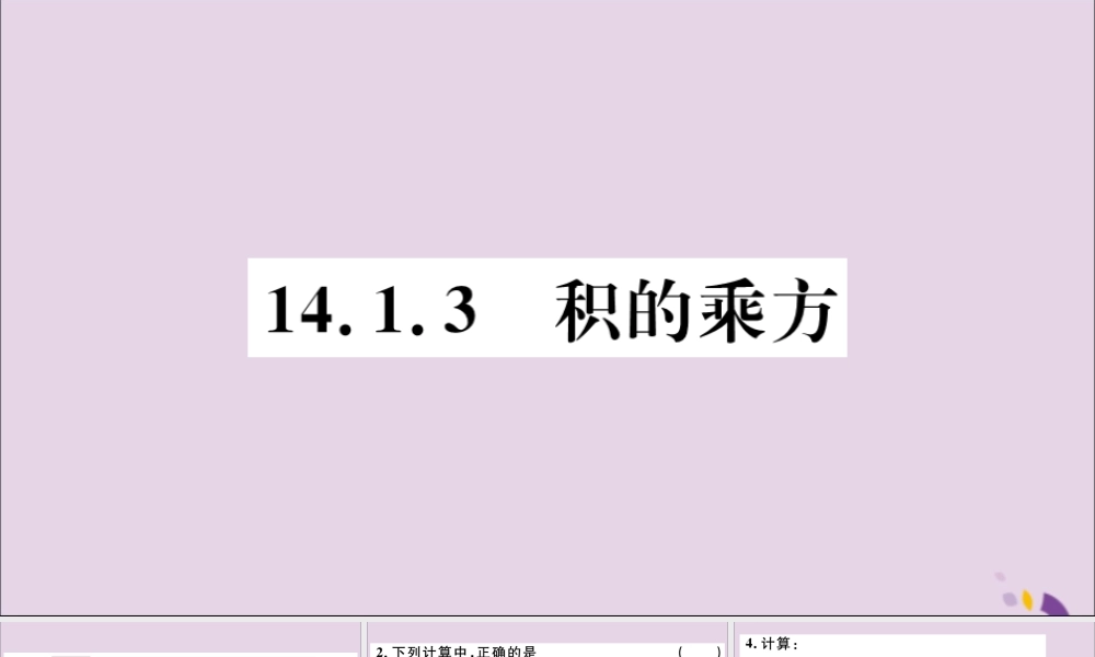 (河北专版)八年级数学上册 14.1 整式的乘法 14.1.3 积的乘方习题课件 (新版)新人教版 课件