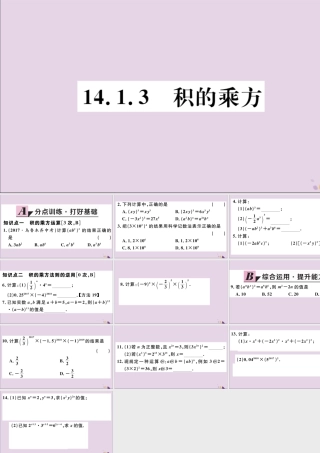 (河北专版)八年级数学上册 14.1 整式的乘法 14.1.3 积的乘方习题课件 (新版)新人教版 课件