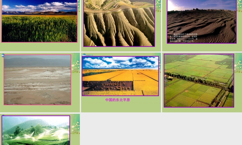 七年级历史与社会上册 第三单元 第2课 第一框 复杂多样的地形课件(1) 人教版 课件