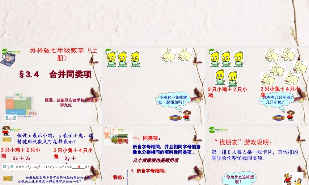 七年级数学上册 34(合并同类项)课件 苏科版 课件