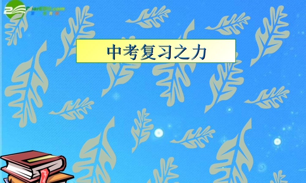 中考物理 力课件 人教新课标版 课件