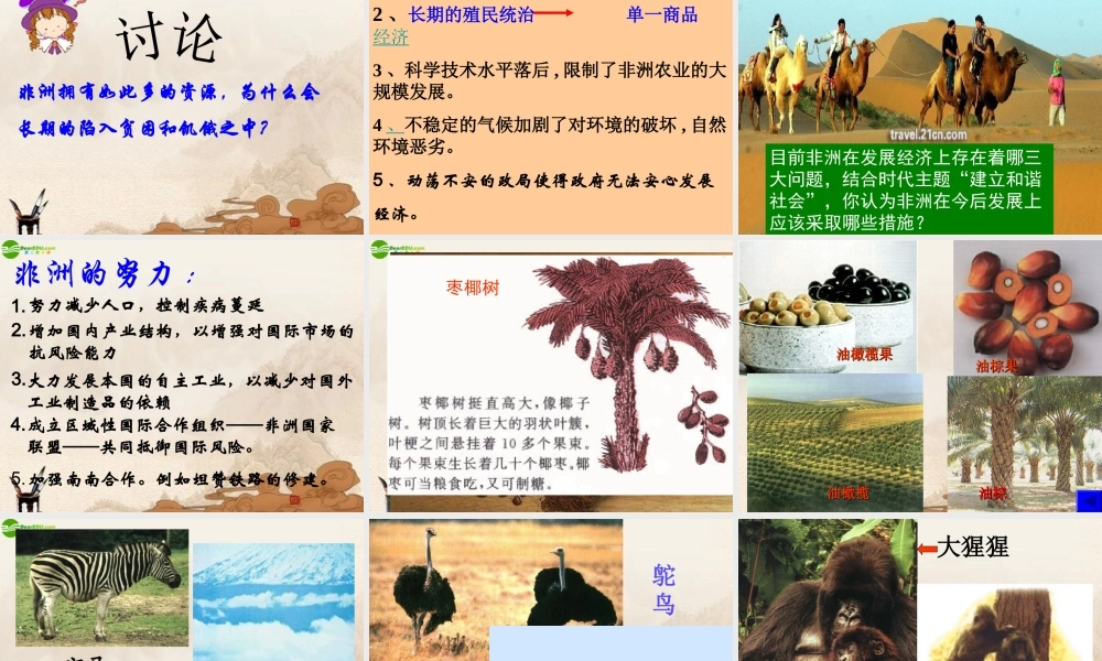 七年级地理下册 第二节非洲(第二课时)课件 湘教版 课件