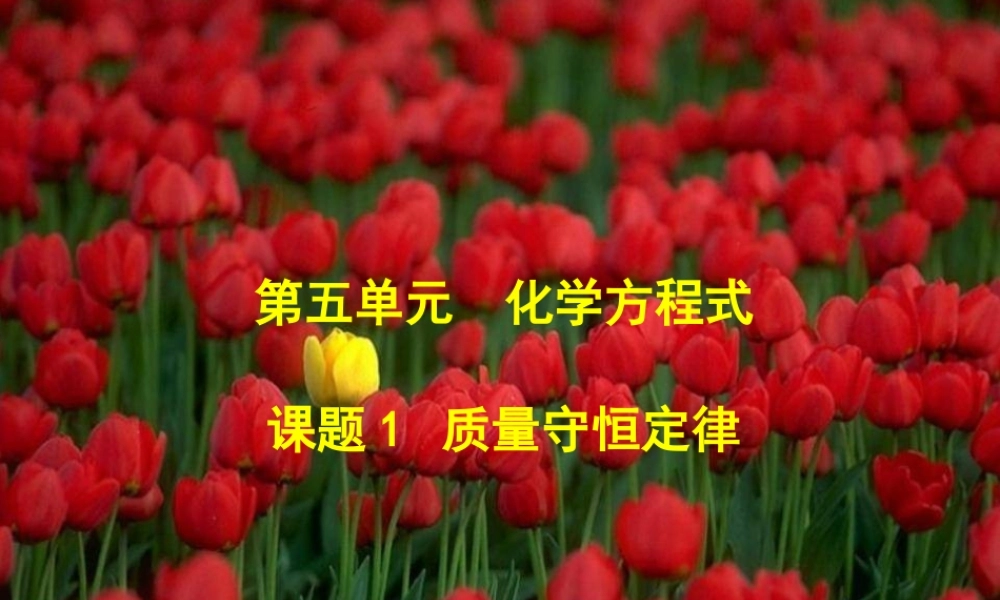 九年级化学上册 质量守恒定律课件 人教版 课件