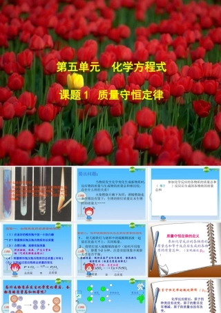 九年级化学上册 质量守恒定律课件 人教版 课件