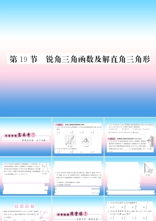 (课标版通用)中考数学一轮复习 第4章 图形的初步认识与三角形 第19节 锐角三角函数及解直角三角形习题课件