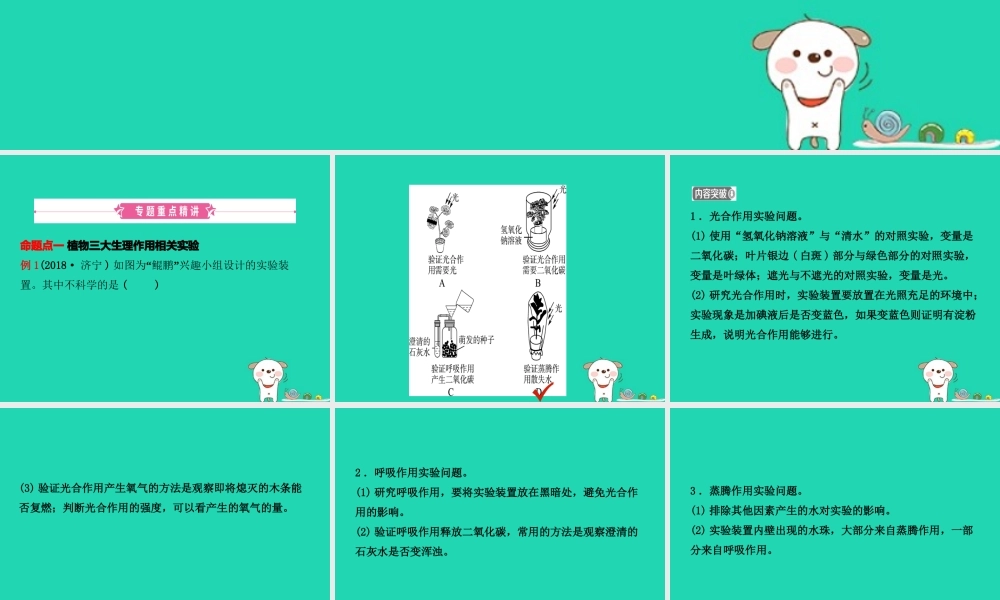 (江西专版)中考生物 第2部分 专题四 绿色植物的三大生理作用复习课件