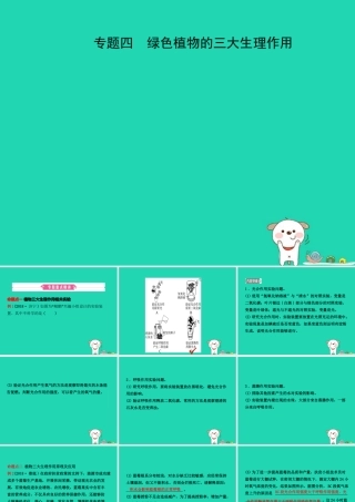 (江西专版)中考生物 第2部分 专题四 绿色植物的三大生理作用复习课件