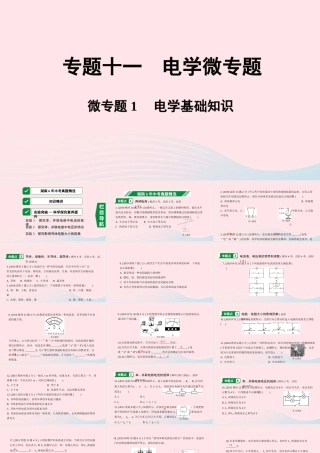 中考物理一轮复习 专题十一 电学微专题 微专题1 电学基础知识课件