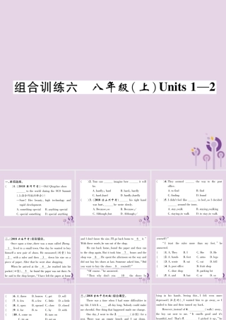中考英语总复习 第一篇 教材知识梳理篇 组合训练6 八上 Units 1 2(精练)课件