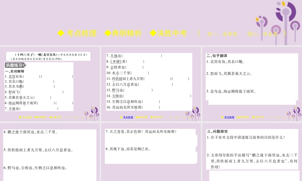 中考语文复习 第二部分 古诗文积累与阅读 专题二 文言文(十四)(庄子)一则课件