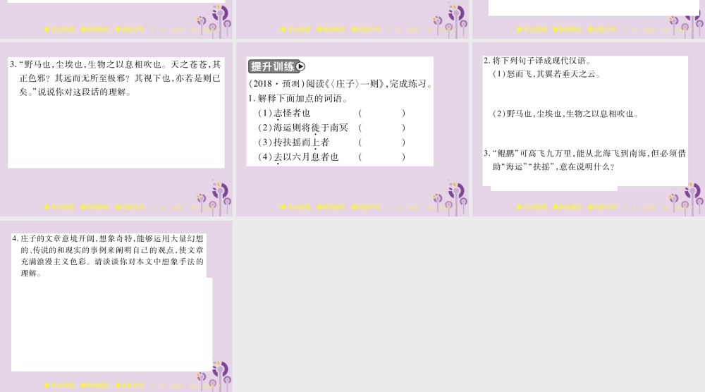 中考语文复习 第二部分 古诗文积累与阅读 专题二 文言文(十四)(庄子)一则课件