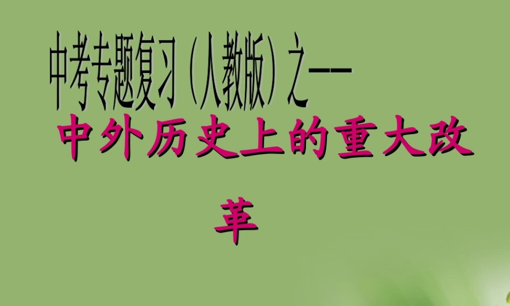 九年级历史 中外历史上的重大改革课件