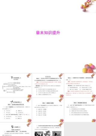 (随堂优化训练)八年级生物上册 第5单元 第16章 章末知识提升课件 北师大版 课件