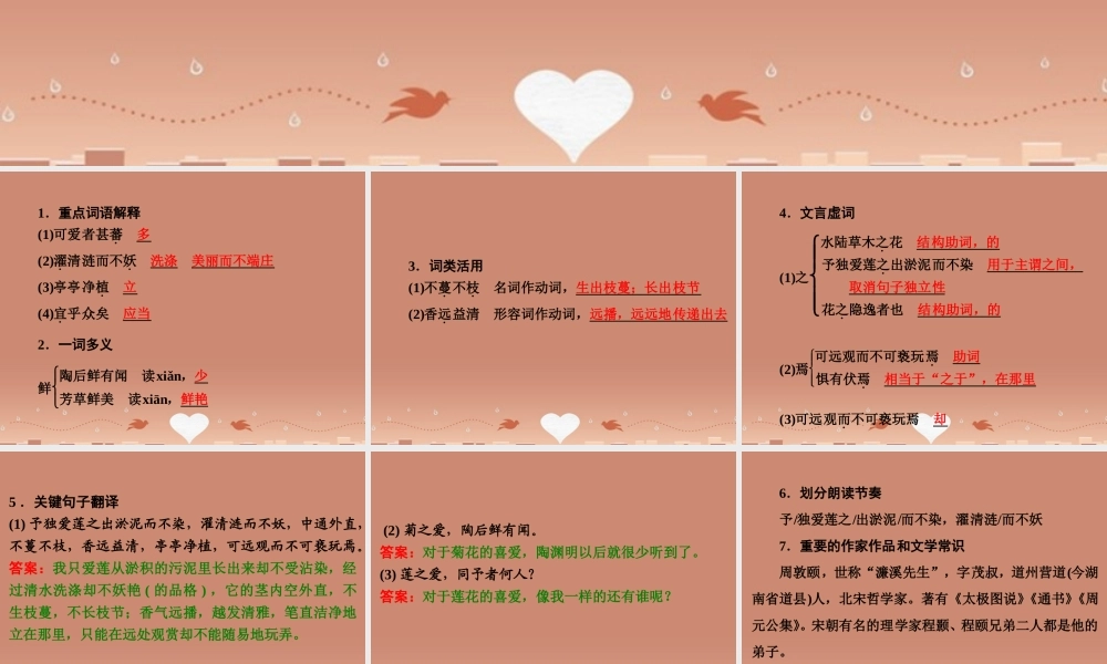 中考语文 第一篇 课内重点文言文梳理四 爱莲说讲解课件