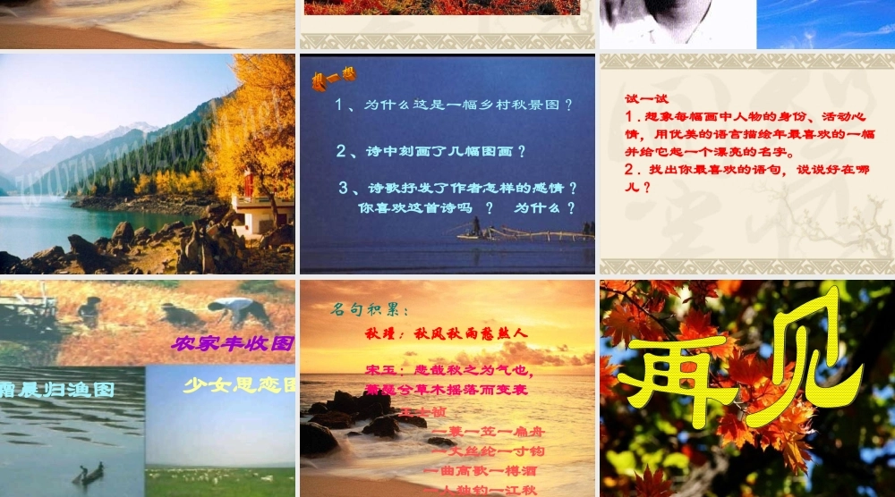 (秋天)课件5 七年级语文上册第三单元(秋天)课件8套人教版