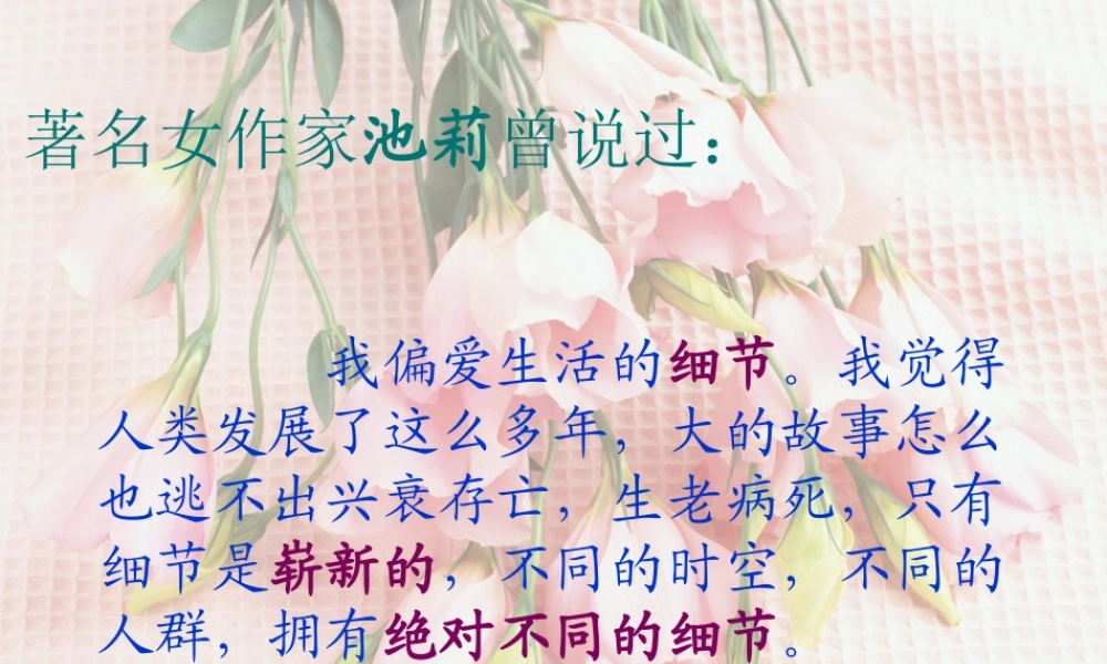 中考语文复习 细节描写课件