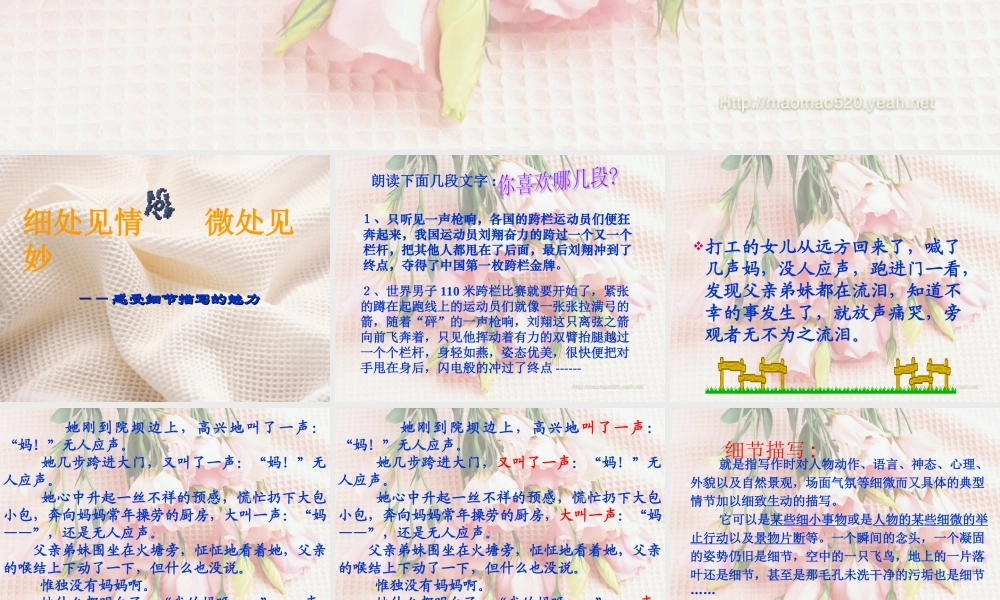 中考语文复习 细节描写课件