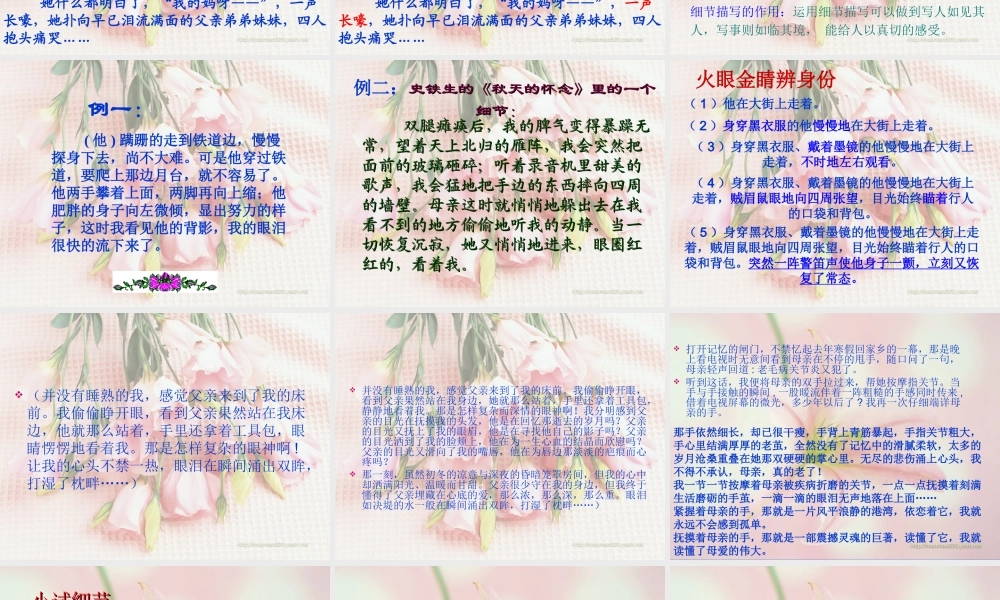 中考语文复习 细节描写课件