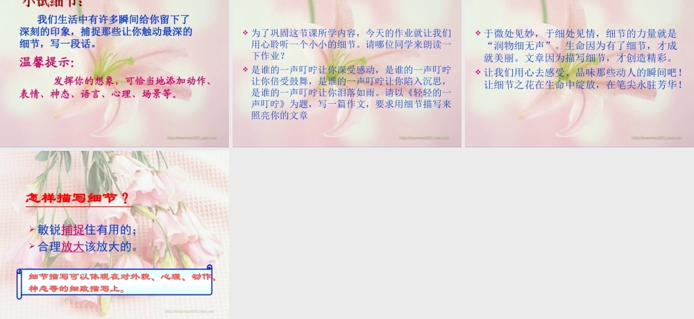 中考语文复习 细节描写课件