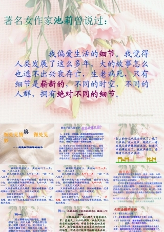 中考语文复习 细节描写课件