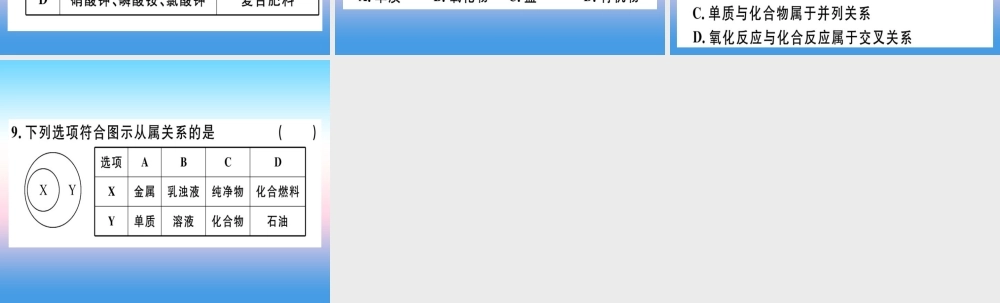 九年级化学下册 专题七 物质的分类习题课件 新人教版 课件