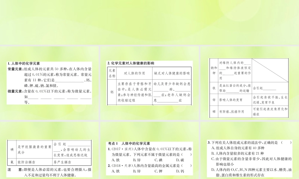 九年级化学下册 第十二单元 化学与生活 课题2 化学元素与人体健康复习课件 (新版)新人教版 课件