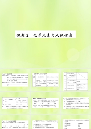 九年级化学下册 第十二单元 化学与生活 课题2 化学元素与人体健康复习课件 (新版)新人教版 课件