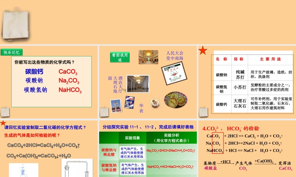 九年级化学下册 生活中常见的盐(2)课件 人教新课标版 课件