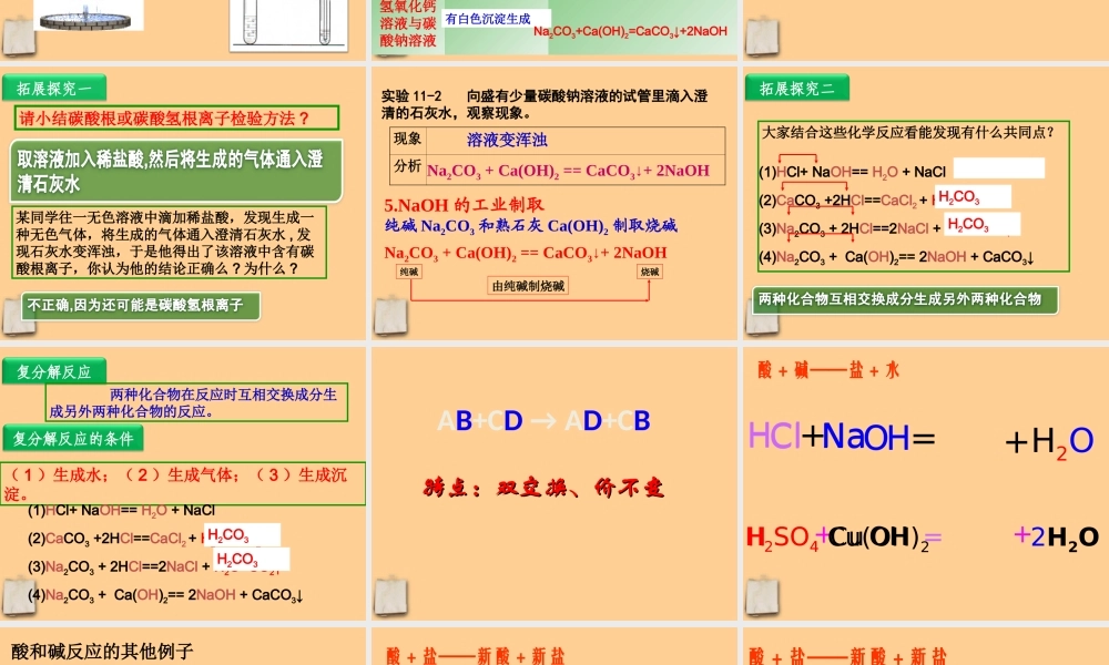 九年级化学下册 生活中常见的盐(2)课件 人教新课标版 课件