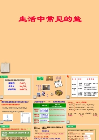 九年级化学下册 生活中常见的盐(2)课件 人教新课标版 课件