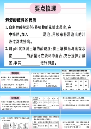 (江西专版)九年级化学下册 第十单元 酸和碱 实验活动7 溶液酸碱性的检验习题课件 (新版)新人教版 课件