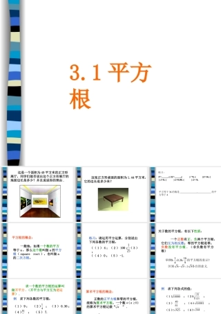 3.1平方根 浙江省初一数学(上)全部课件整理 浙教版